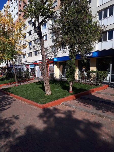 Sector 3, Theodor Pallady,