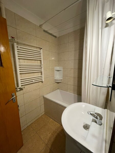 Sector 3, Theodor Pallady,